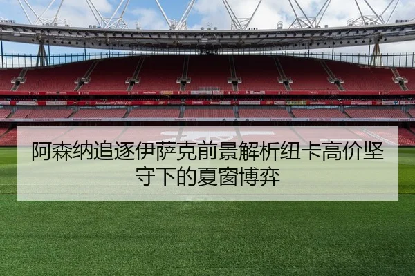 阿森纳追逐伊萨克前景解析纽卡高价坚守下的夏窗博弈